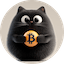 Bitcat