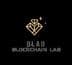Blockchain Lab