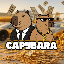Capybara（SOL）