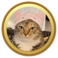 Catwifhat