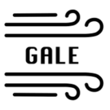 Gale Network