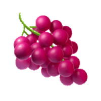 葡萄