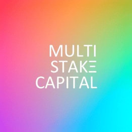 Multi-Stake Capital