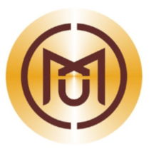 MXM Token