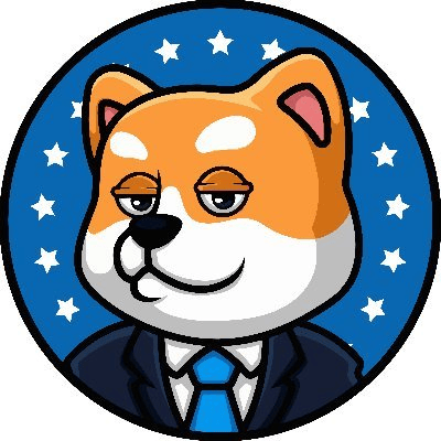 President Doge