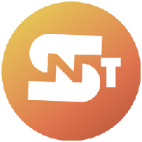 Share NFT Token