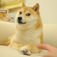 The Doge NFT
