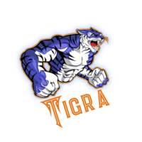 Tigra Coin