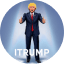 Trump Cards Fraction Token
