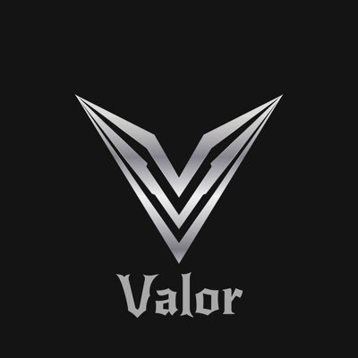 ValorFoundation